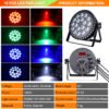 18-LED Cast Aluminum PAR Light with DMX512 Control RG-314