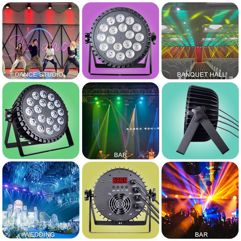 18-LED Cast Aluminum PAR Light with DMX512 Control RG-314