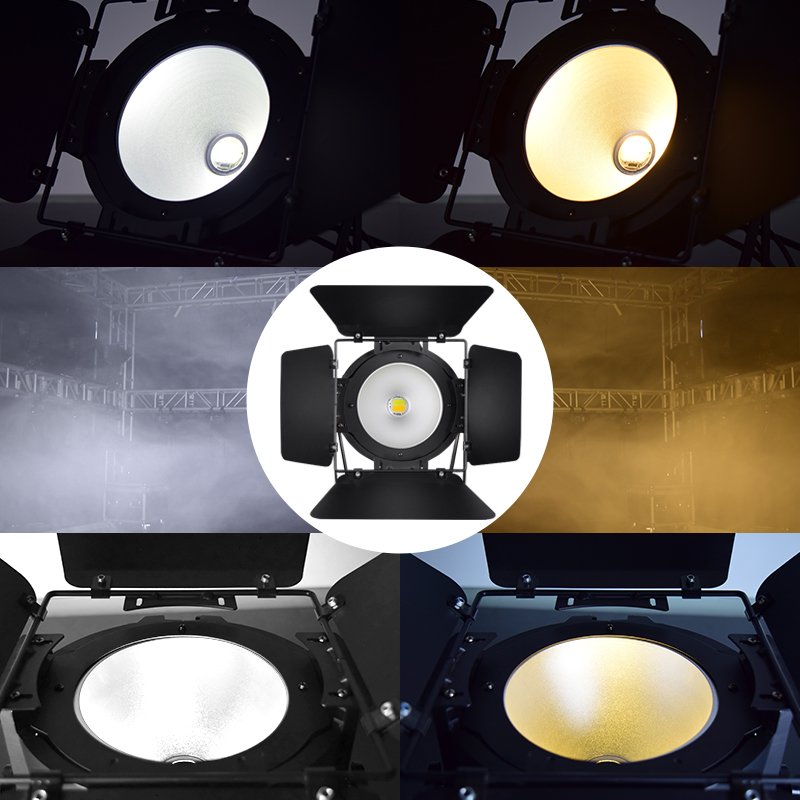 100W/200W COB LED Par Light with DMX512 and Linear Dimming for Stage and Event Lighting RG-320