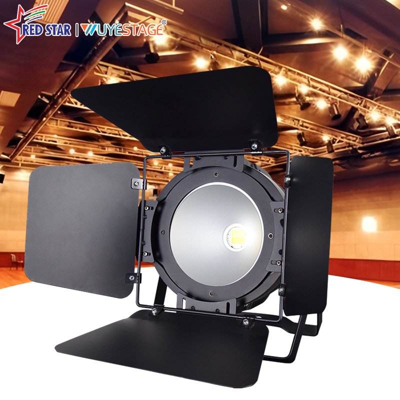 100W/200W COB LED Par Light with DMX512 and Linear Dimming for Stage and Event Lighting RG-320