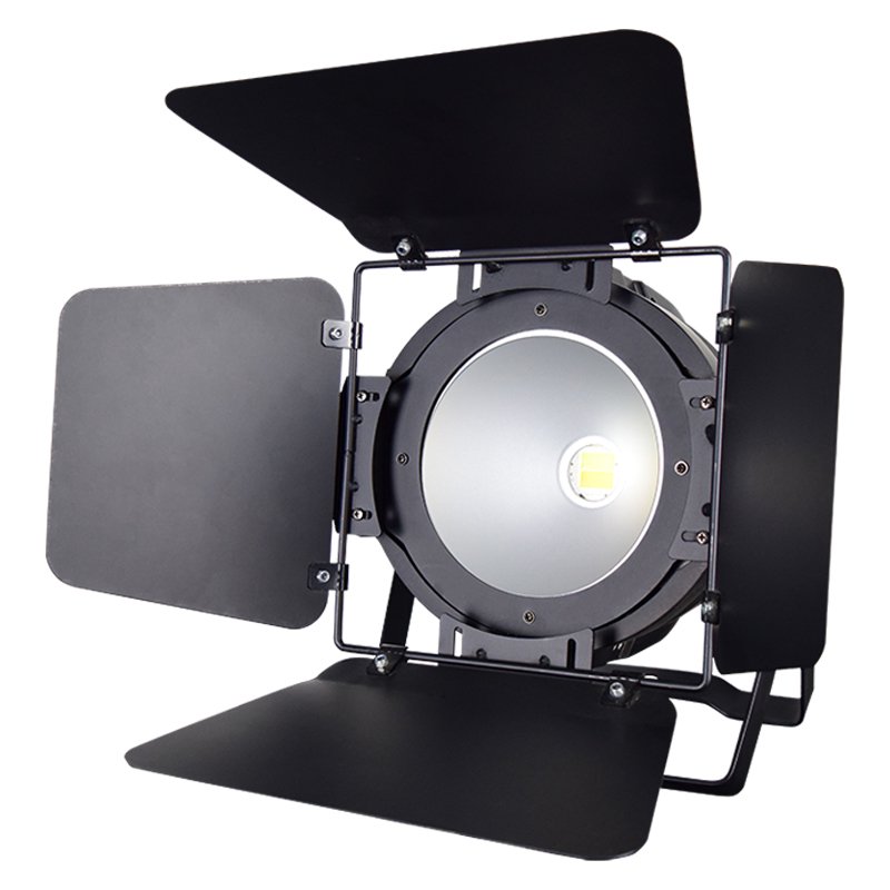 100W/200W COB LED Par Light with DMX512 and Linear Dimming for Stage and Event Lighting RG-320
